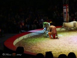 Circus YAKARI am 28.09.2024